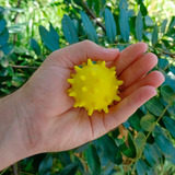 Amarelo