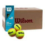 Wilson
