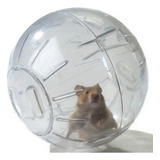 Bola De Exercícios Globo Para Hamster