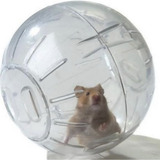 Bola De Exercícios Globo Para Hamster