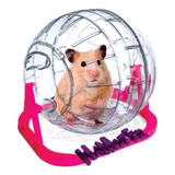 Hamster