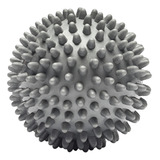Fisio