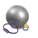 Bola De Pilates 55 Cm Kit Com Anel De Pilates E Bomba De Ar Roxo 