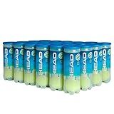 Bola De Tênis Head Pro Caixa Com 24 Tubos