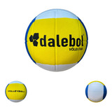 Volei