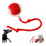 Bola Interativa Usb Gato Pet Cachorro Brincar Sozinho C