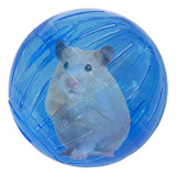 Bola Para Hamster Brinquedo Exercício Globo 11 5cm Savana