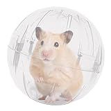 Bola Para Hamster Ratinho Hamester Brinquedo Exercício Globo 11 5cm Savana Pet Transparente
