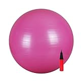 Bola Pilates C Bomba 65cm Gym Fit Ball Yoga S R Rosa 