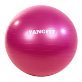 Bola Pilates Suíça Exercícios Yoga 55cm Com Bomba De Inflar Yangfit Rosa