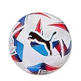 BOLA PUMA CUMBRE CONMEBOL COPA AMERICA MS
