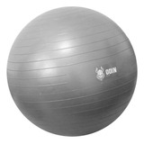 Bola Yoga Suiça Pilates Abdominal Gym Ball 55cm Bomba Grátis Cor Cinza claro