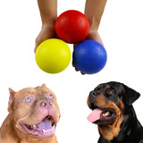 Bolas 100mm Para Pet Shop Cachorro Raças Grandes 3 Unidades