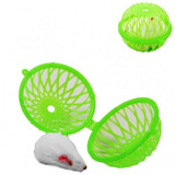 Frisbee