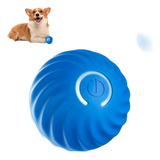 Cachorro