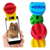 Bolinha Para Cachorros Resistente Brinquedos Pet