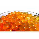 Bolinhas De Gel Orbeez 10 000 Unidades