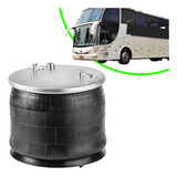 Stb501