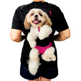 Cachorro