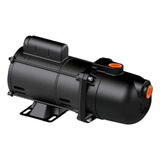 Bivolt