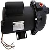 Bomba Autoaspirante Ap3c Dancor Preto