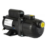 Bomba Autoaspirante Dancor Ap 2r 1 4cv Bivolt Cor Preto Fase Elétrica Monofásica Frequência 50 Hz 110v 220v