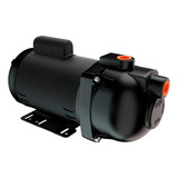 Bomba Autoaspirante Dancor Pratika 2cv 10710080 Monofásica Cor Preto Frequência 60hz 110v 220v