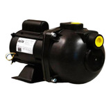 Bomba Centrífuga Autoaspirante Monofásica Dancor Pratika Ap 3c 0 507hp Cor Preto 60hz 127 220v