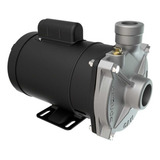 Bomba Centrífuga Dancor Cam w10 1 1 2 Cv Monofásico 127 220v Cor Cinza escuro Fase Elétrica Monofásica Frequência 60hz 110v 220v