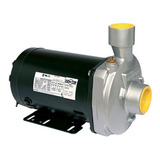 Bomba Centrífuga Dancor Cam w16 3 4 Cv Monofásica 110v 220v Cor Preto Frequência 60