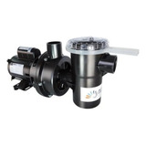Bomba Centrífuga Para Piscina Nautilus Motobomba Bivolt Com Motor Weg Nbf 2 0 5cv 127 220v Monofásica 40m h