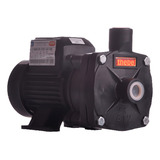 Bomba Centrífuga Thebe B 12 P 1 2 Cv Monofásica 110v 220v Cor Preto Frequência 60hz 110v 220v