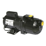 Bivolt