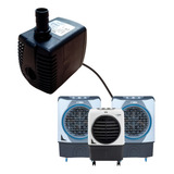 110v