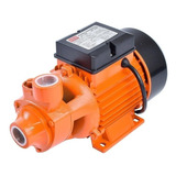 Bivolt