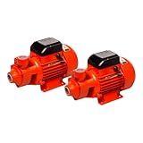 Bomba D-Água Periférica 1 CV 750W Bivolt 2 Unidades Foxlux