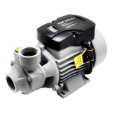 Bomba Dágua 1cv Periférica 110v Razi 21156 Cor Cinza