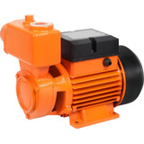 Bivolt