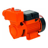 Bivolt