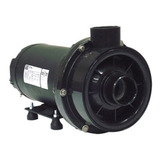 Bomba Dancor Para Hidromassagem Chs 17 1 2 Cv Trifásica