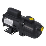 Bomba De Água Autoaspirante Bivolt 1 4cv Pratika Ap 2r Danc