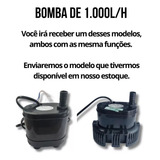 Clima