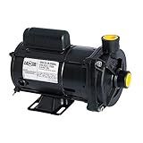 Bomba De Água Dancor CP-4C - CP-4R Centrífuga Pratika 1-2 Cavalo Bivolt