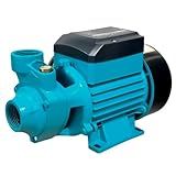 Bomba De Agua Periferica 0 5cv 220v 1 2 Cv 220v 0 37kw P Poço Sucção De 8 Metros Cor Azul
