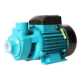 Bomba De Água Periférica Para Poço 1cv 1hp 53m 60l min Cor Azul 220v