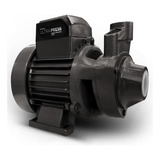 Bivolt