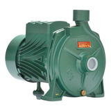 Bomba De Água Thebe B 13 1 Cv 127 220 V Cor Verde Fase Elétrica Monofásica Frequência 60 Hz 110v 220v