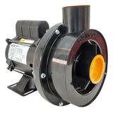 220v