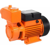 Bivolt