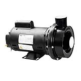 Bomba Para Hidromassagem CHS17 2 CV Dancor Monofásico 110 220V